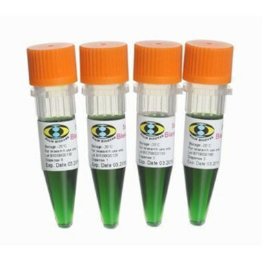 5x HOT FIREPol® Blend Master Mix Ready to Load with 10.0 mM MgCl2