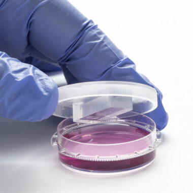 Petri Dish HoloLid for Sarstedt