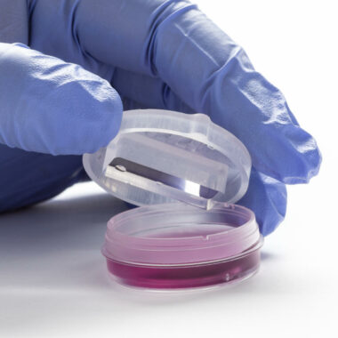 Petri Dish HoloLid for ibidi