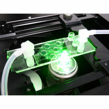 µ-Slide III 3D Perfusion