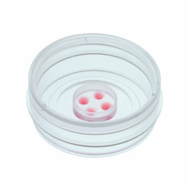 micro-Insert 4 Well FulTrac in µ-Dish 35 mm, high