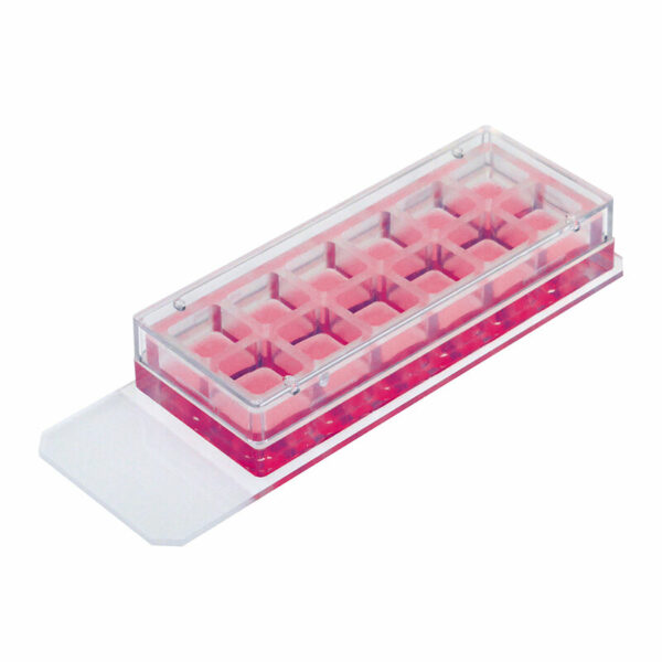 8120X_12Well_removable_RGB.jpg