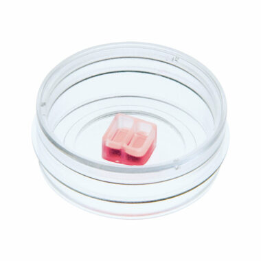 Culture-Insert 2 Well in µ-Dish 35 mm