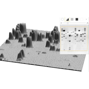 CLIQS Gel Analysis software with advanced analysis functions