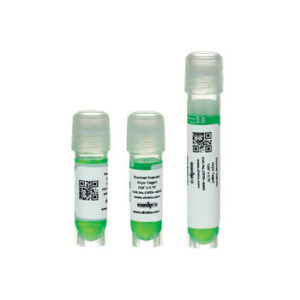 38mm x 19mm, Thermal Transfer Cryo-Tags, 2000/roll