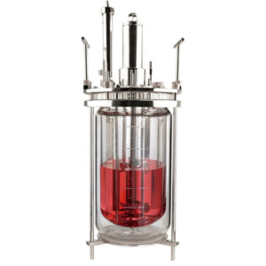 Bioreactor Vessels
