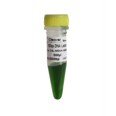 100bp DNA ladder, 100-1500bp