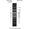 CSL MDNA 3.WEB