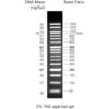 CSL MDNA 5.WEB