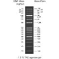 100bp DNA ladder, 100-3000bp