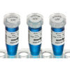 24mm x 13mm & 9.5mm spot, Direct Thermal Cryo-Tags, 500 sets/roll