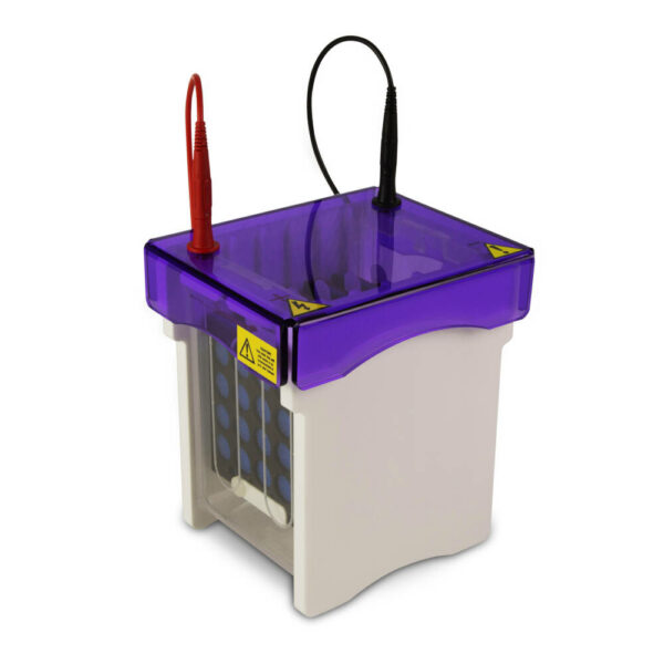 EBM-2.WEB.jpg