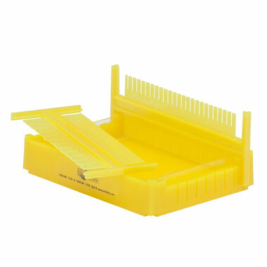 MultiCaster Gel Casting System Yellow, 2 combs