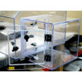 Sealed Glove Box