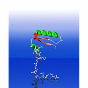 Moleculesmall