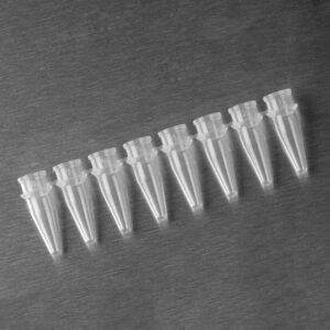 PCR 0208 C