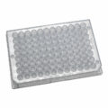 Planet-Safe 96 Well Round Bottom Microplates