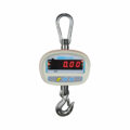 SHS Crane Scales: 150kg Capacity