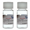 Collagen Type I