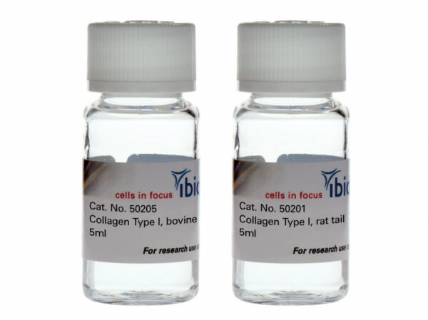 collagen-type-i_im8any.jpg