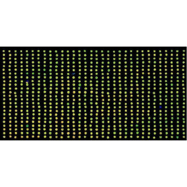 Glass Slide Replicator with 32 pins for making arrays from 384 well microplates