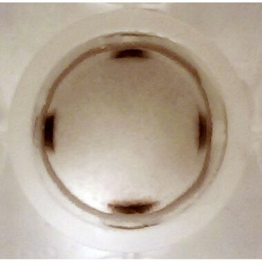 Magnetic Separation Plate for 96 Well Flat Bottom, 329 Magnetic (52 MGO) Cylinders, BioTek Washer Compatible, Step Down Edge for Full-Skirted Plates