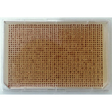 Alignment Jig for Registering Multi-Blot Replicators to Omni Trays for making Arrays on Agar