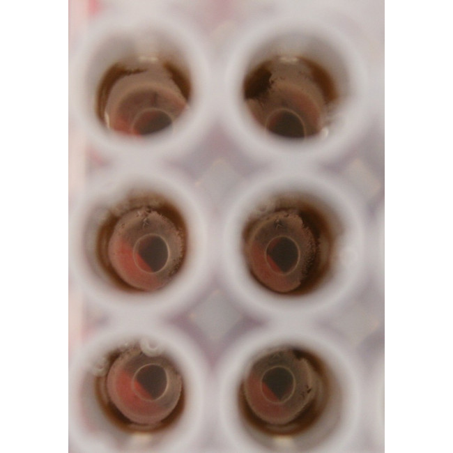 Magnetic Bead Separation Block for 96 deep well microplates, 117 tall square post magnets, vertical magnetic pull, red anodized aluminum magnet frame, SBS footprint, includes high profile Registration Base VP 771G-4RM-1. Each.