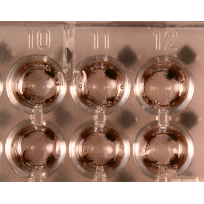 Magnetic Bead Separation Block for 96 deep well microplates, 117 tall square post magnets, vertical magnetic pull, red anodized aluminum magnet frame, SBS footprint, includes high profile Registration Base VP 771G-4RM-1. Each.