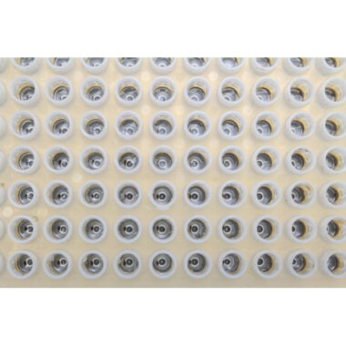 SuperMag Magnetic Bead Separation Device for 96 PCR Microplates, 8 Tube Strip, 12 Tube Strip