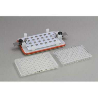 VP 771HH-LFFlick and Blot Magnetic Separation Plate for 96 Well microplates or 96 PCR plates, 24 Magnetic (52 MGO) Cylinders, White Polycarbonate Frame, New Clips, Pellet Positioning Lower