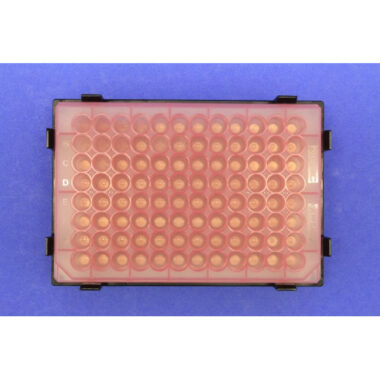 Magnetic Separation Plate for 96 Well Flat, V, Round, & Pyramid Bottom microplates, 96 Magnetic (52 MGO) Cylinders, White Polycarbonate Frame, SLAS Footprint, Includes High Profile Registration Base