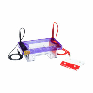 multiSUB Midi