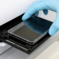 μ-Plate 384 Well Black Glass Bottom