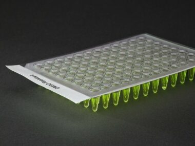QuickSeal DMSO X Film™ Self Adhesive Sealing Film