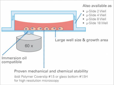 µ-Slide 1 Well