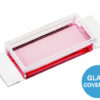  Slide 1 Well Glass Bottom 1r79y0