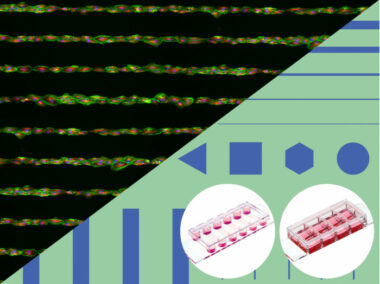 µ-Slides With Test µ-Patterns