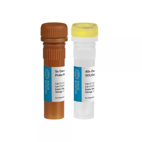 SOLIScript® 1-step Probe Kit