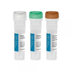FIREScript® RT cDNA synthesis MIX with Random primers