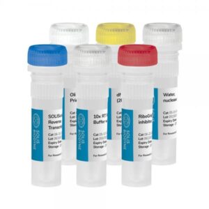 SOLIScript® RT cDNA synthesis KIT