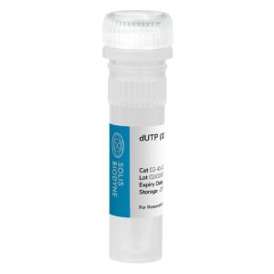 dUTP (100 mM)