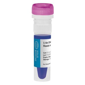 1 kb DNA Ladder Ready to Load