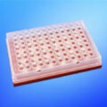 Magnetic Separation Plate for 96 Well PCR Microplates Full Skirted, 24 Magnetic (52 MGO) Cylinders, Step Down Edge, SLAS Footprint, No Registration Base