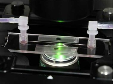 μ-Slide I Luer Glass Bottom