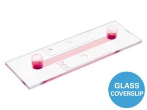 μ Slide I Luer Glass Bottom