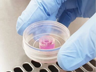 micro-Insert 3D in µ-Dish 35 mm, high ibiTreat: ready-to-use, tissue culture-treated, sterilized, individually packed