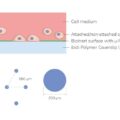 μ-Slide 8 Well high μ-Pattern ibiTreat, cir200, pit600, hex