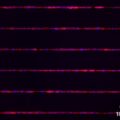 μ-Slide VI 0.4 μ-Pattern ibiTreat, lin20, pit170