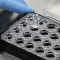 µ-Plate 24 Well for Membrane Inserts
